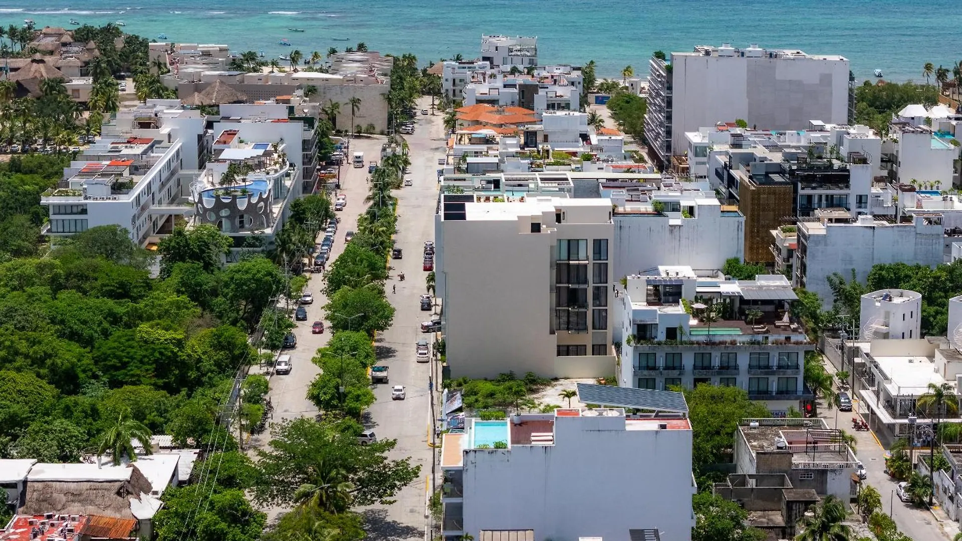 Paraiso Encontrado Departamento Unico En Playa Del Carmen Mexico